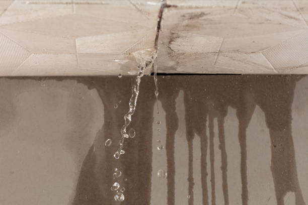 Professional Commercial Water Damage Restoration technician working in Milano, TX
